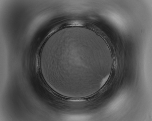 X0000094901487200712271442