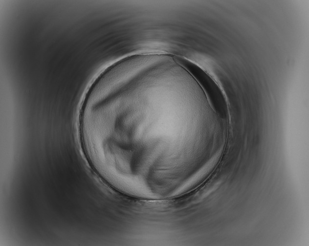 X0000094901488200712271442