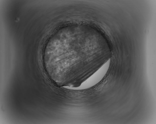 X0000094901489200712271441