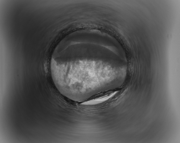 X0000094901490200712271442