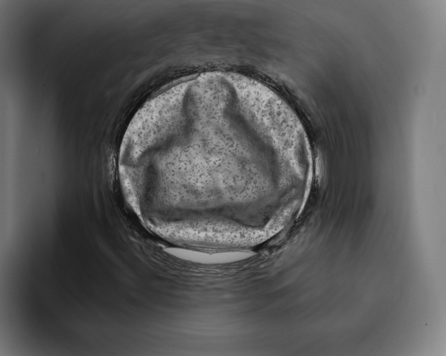 X0000094901492200712271442