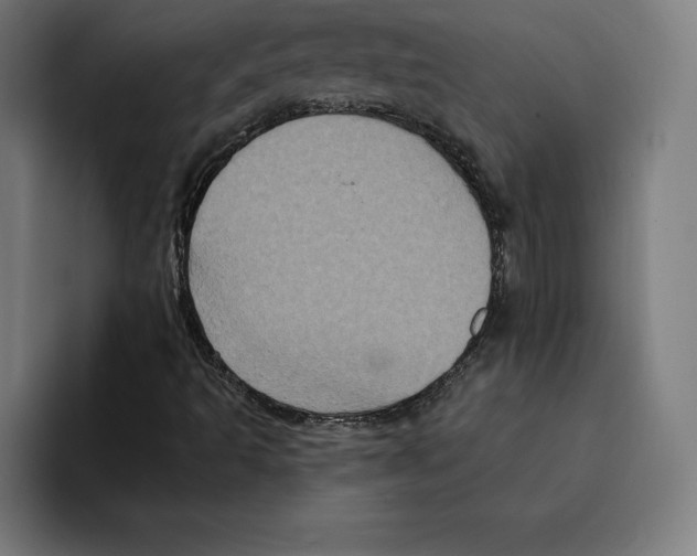 X0000094901493200712271442