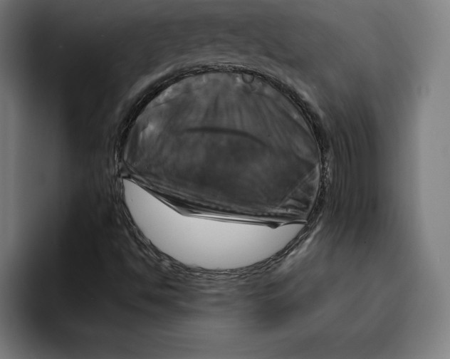 X0000094901494200712271442