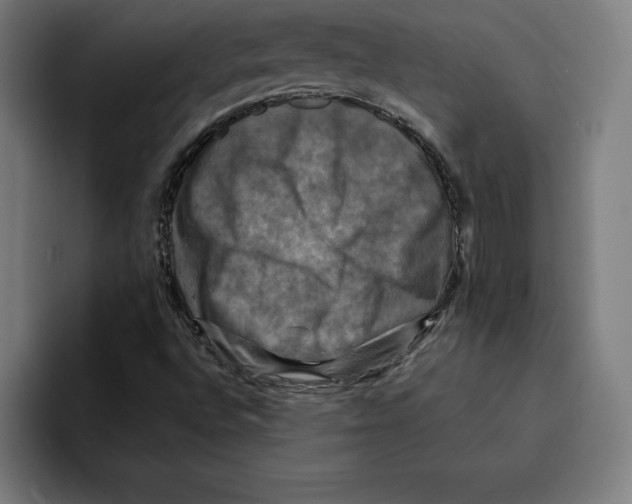 X0000094901496200712271442