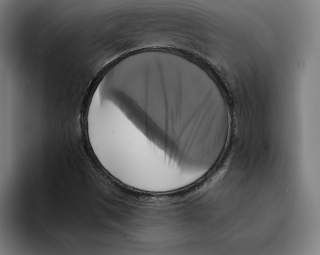 X0000094901497200712271442