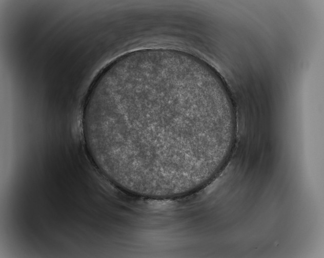 X0000094901498200712271442