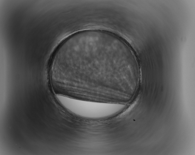 X0000094901501200712271442