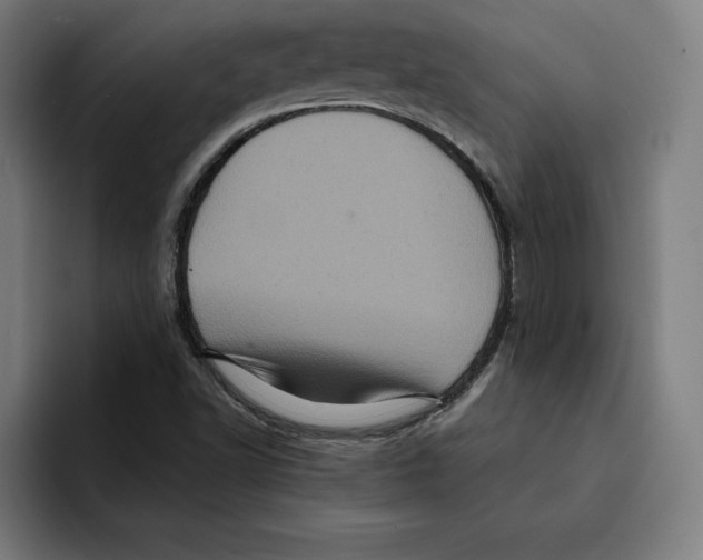 X0000094901502200712271442