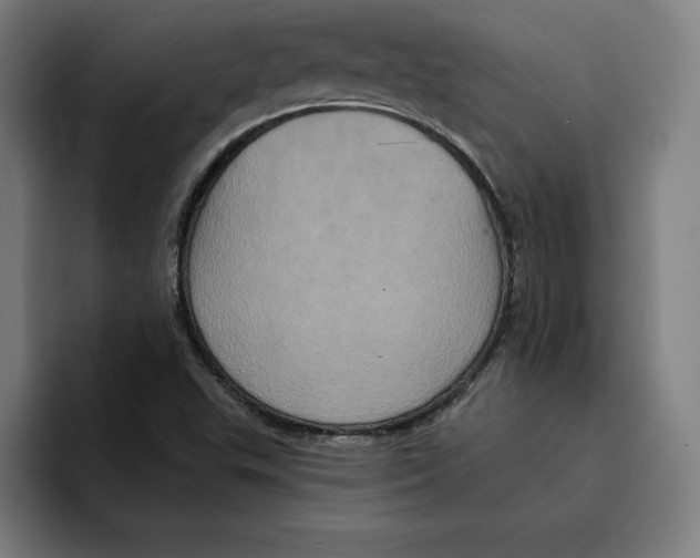 X0000094901503200712271442