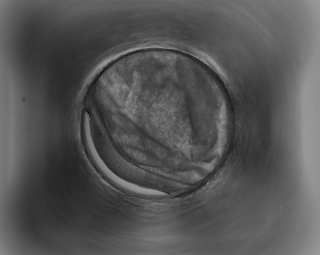 X0000094901504200712271442