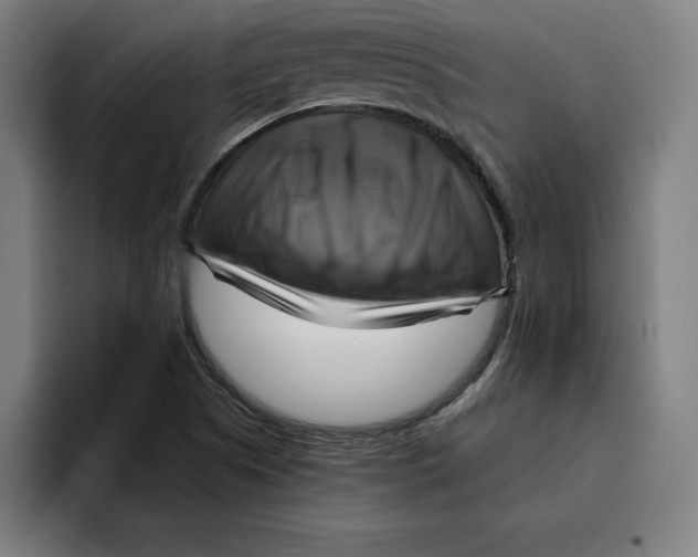 X0000094901505200712271442