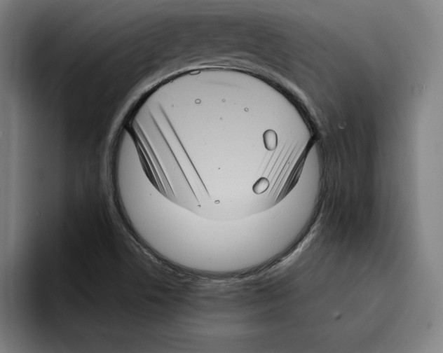 X0000094901506200712271442