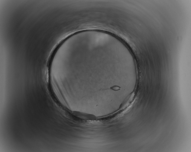 X0000094901509200712271442