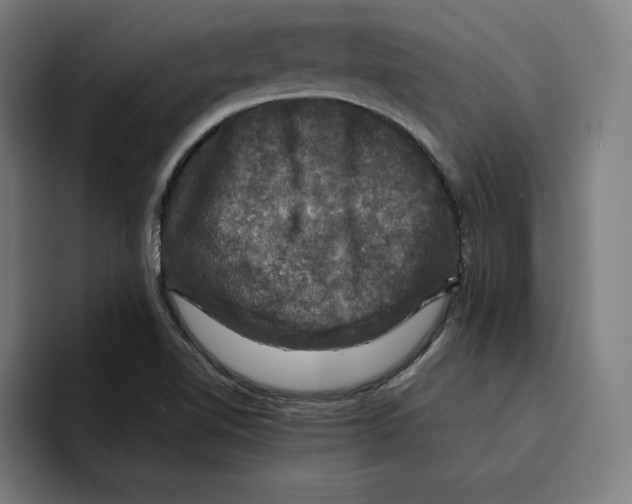 X0000094901510200712271442