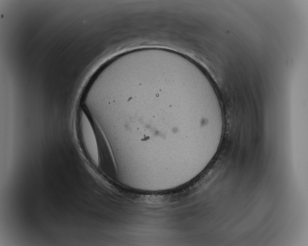 X0000094901511200712271442