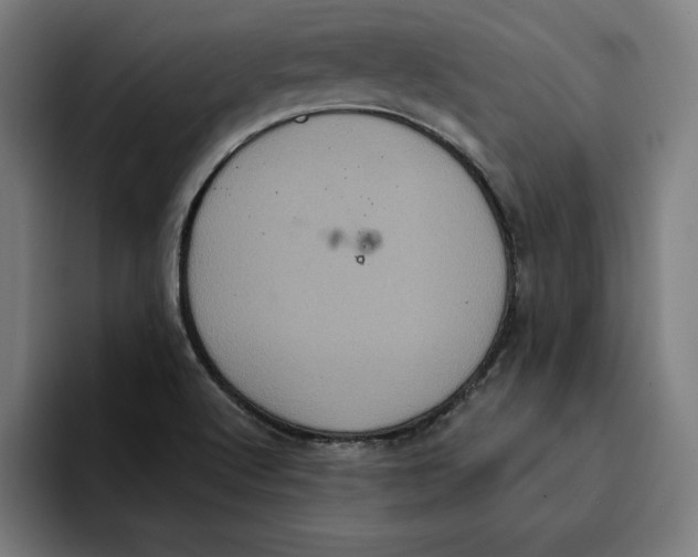 X0000094901512200712271442