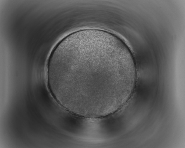 X0000094901514200712271442