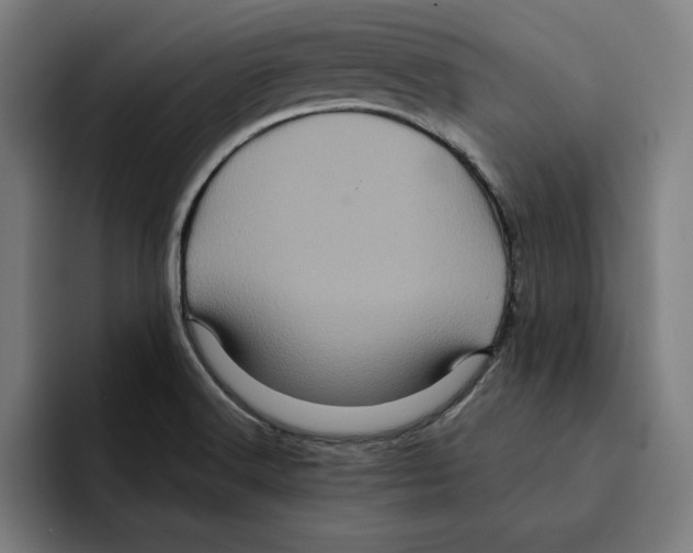 X0000094901516200712271442