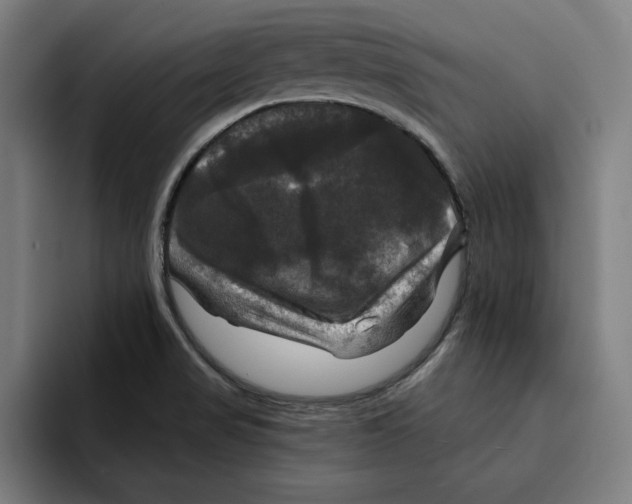 X0000094901517200712271442