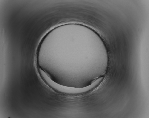 X0000094901518200712271442