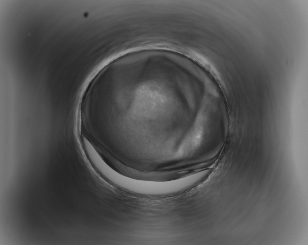 X0000094901520200712271442