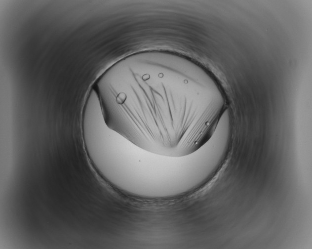 X0000094901521200712271442