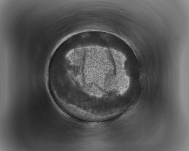 X0000094901523200712271442