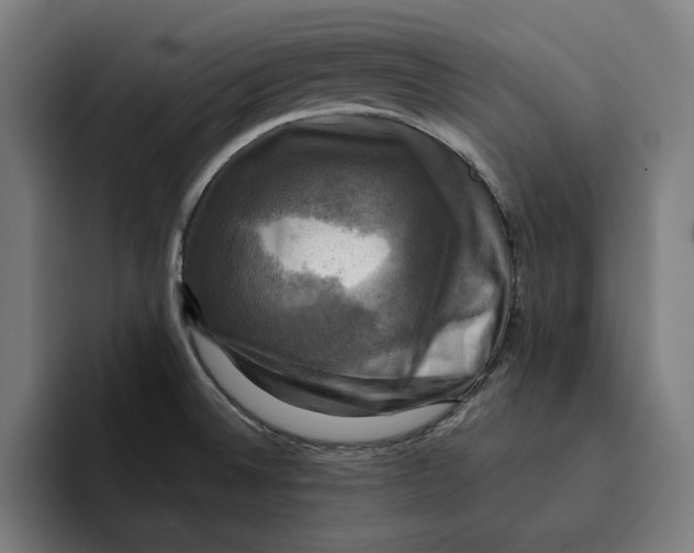 X0000094901524200712271442