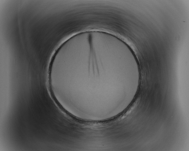 X0000094901525200712271442