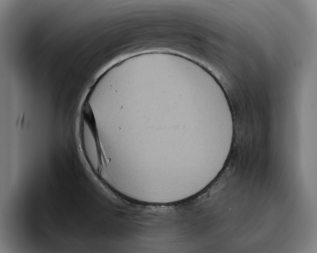 X0000094901526200712271442