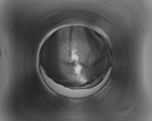 X0000094901528200712271442