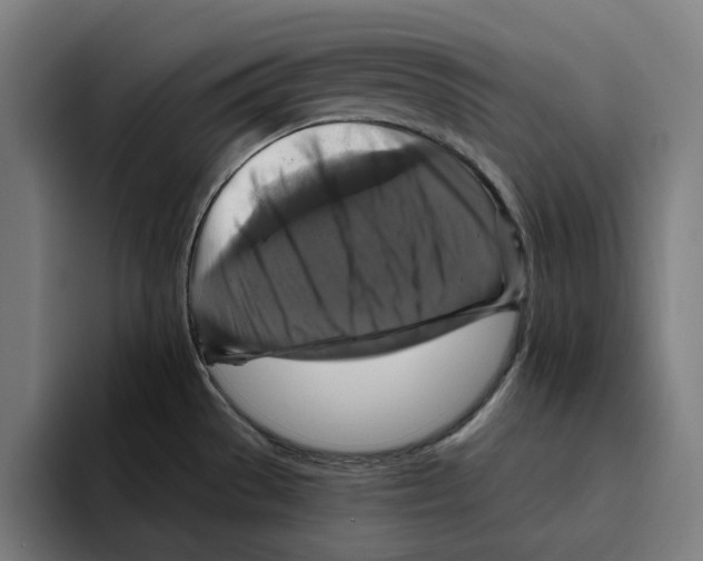 X0000094901529200712271442