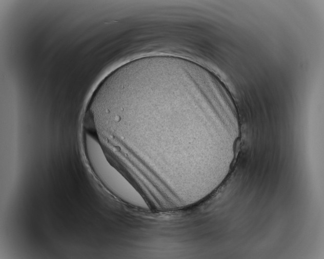 X0000094901530200712271442