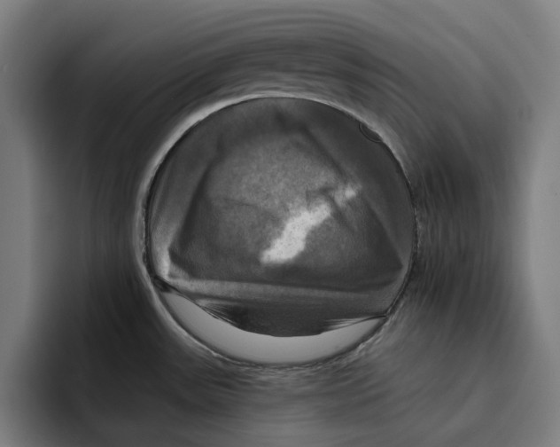 X0000094901531200712271442