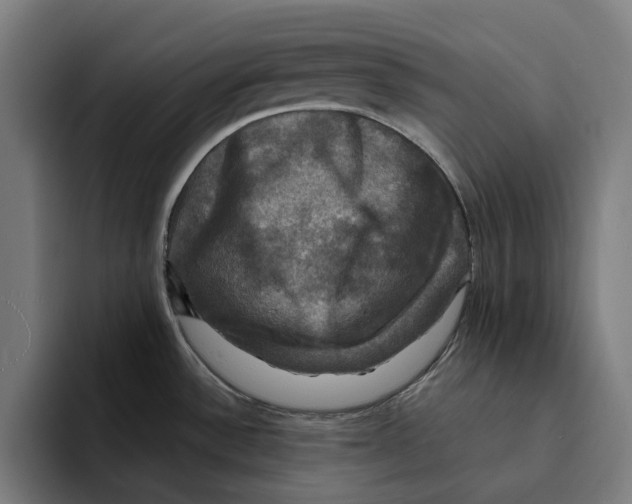 X0000094901532200712271442