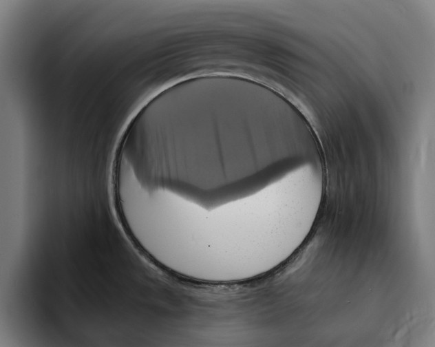 X0000094901533200712271442