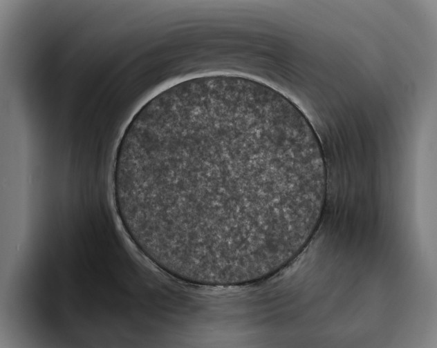 X0000094901534200712271442