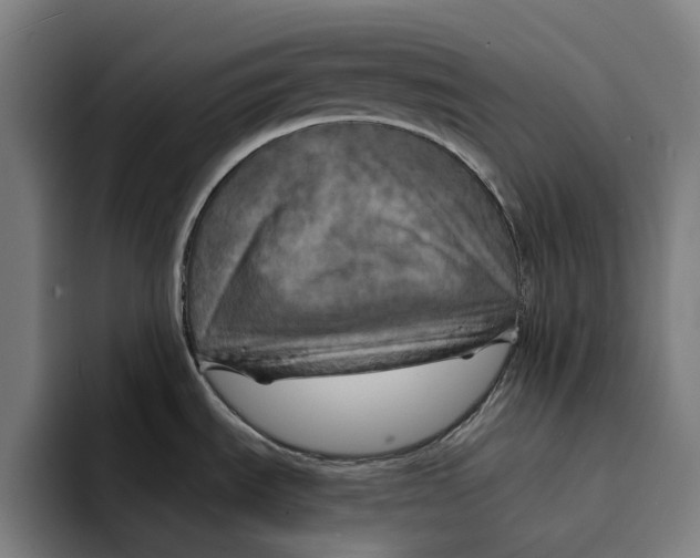 X0000094901535200712271442