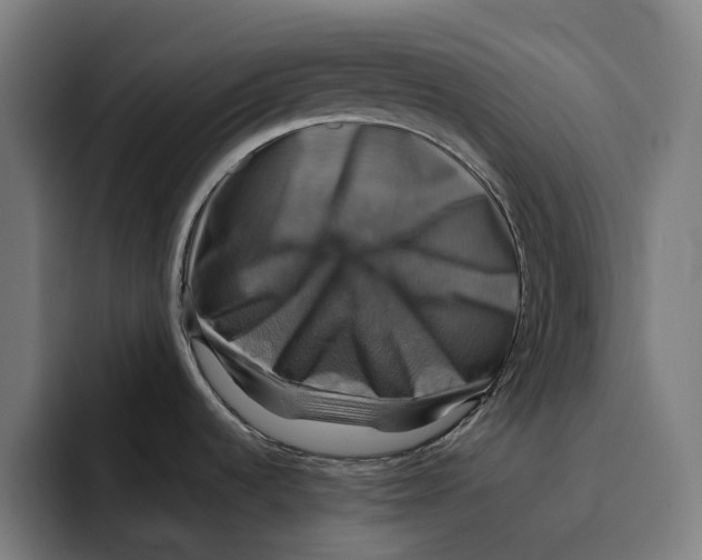 X0000094901536200712271442