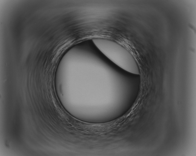 X0000094910001200711291010