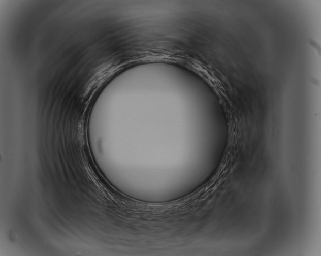 X0000094910002200711291010