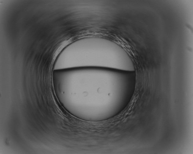 X0000094910003200711291010