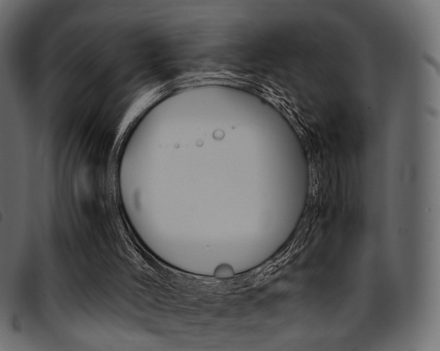 X0000094910004200711291010
