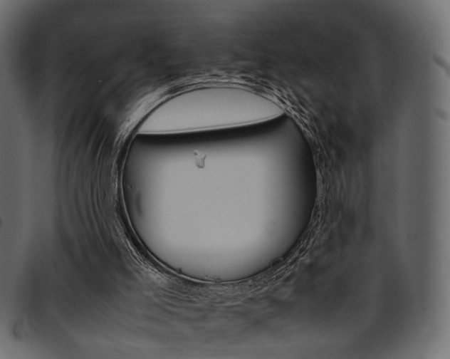 X0000094910005200711291010