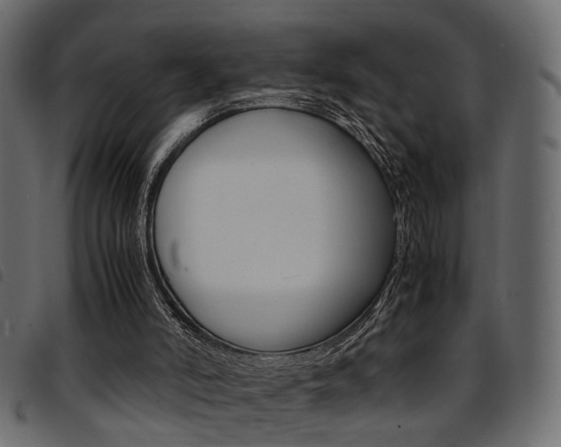X0000094910006200711291010
