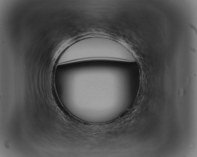 X0000094910007200711291010