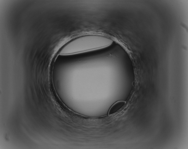X0000094910008200711291010