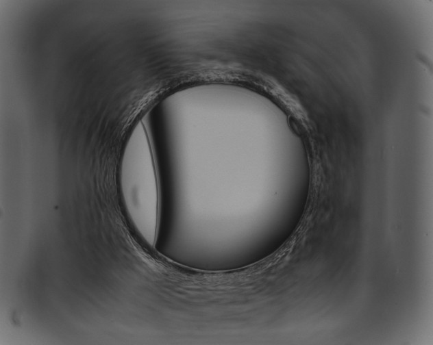 X0000094910009200711291010