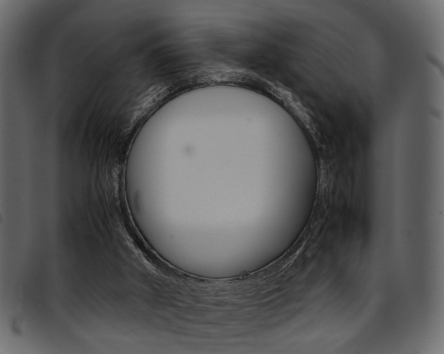 X0000094910010200711291010