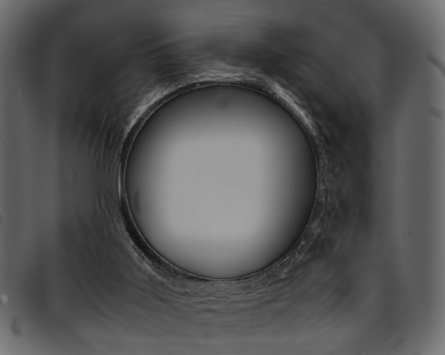 X0000094910011200711291010